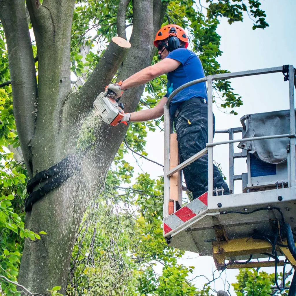 ATN crew at work on a Florida property